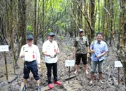 Pemkab Nunukan Gelar Workshop Ekowisata Mangrove dan Penanaman Seribu Bibit di Belaga-One