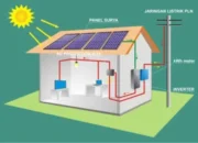 Kadis ESDM Kaltara: Pelatihan PLTS Atap Tingkatkan Kompetensi ASN dalam Program Kaltara Terang