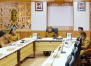 Pemprov Kaltara Siapkan 59 Sapi Kurban untuk Iduladha 1447 H, Tujuh Ekor Bantuan Presiden