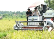 Dorong Ketahanan Pangan, Pemkab Nunukan Perkuat Pertanian Berbasis Teknologi