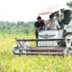 Dorong Ketahanan Pangan, Pemkab Nunukan Perkuat Pertanian Berbasis Teknologi